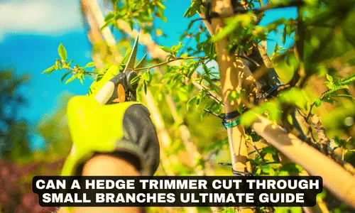 CAN A HEDGE TRIMMER CUT THROUGH SMALL BRANCHES ULTIMATE GUIDE