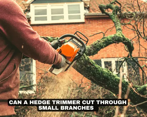 CAN A HEDGE TRIMMER CUT THROUGH SMALL BRANCHES