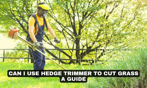 CAN I USE HEDGE TRIMMER TO CUT GRASS A GUIDE