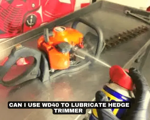 CAN I USE WD40 TO LUBRICATE HEDGE TRIMMER