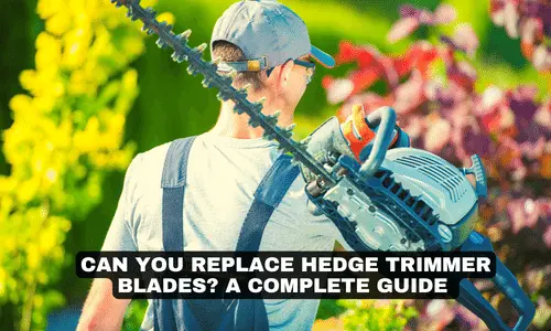 CAN YOU REPLACE HEDGE TRIMMER BLADES A COMPLETE GUIDE