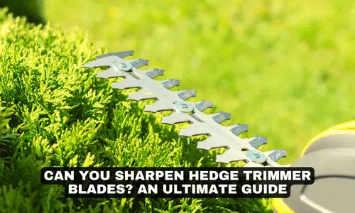CAN YOU SHARPEN HEDGE TRIMMER BLADES AN ULTIMATE GUIDE