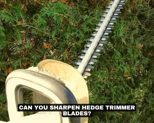 CAN YOU SHARPEN HEDGE TRIMMER BLADES