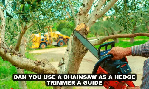CAN YOU USE A CHAINSAW AS A HEDGE TRIMMER A GUIDE