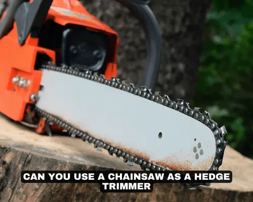 CAN YOU USE A CHAINSAW AS A HEDGE TRIMMER