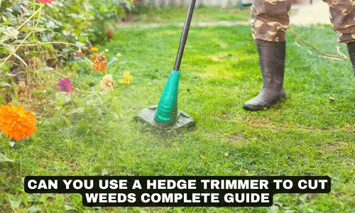 CAN YOU USE A HEDGE TRIMMER TO CUT WEEDS COMPLETE GUIDE