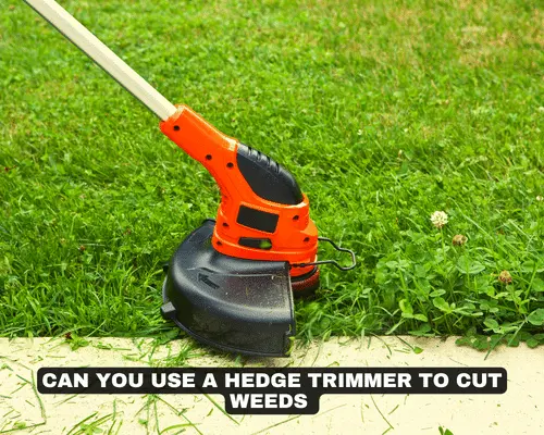 CAN YOU USE A HEDGE TRIMMER TO CUT WEEDS