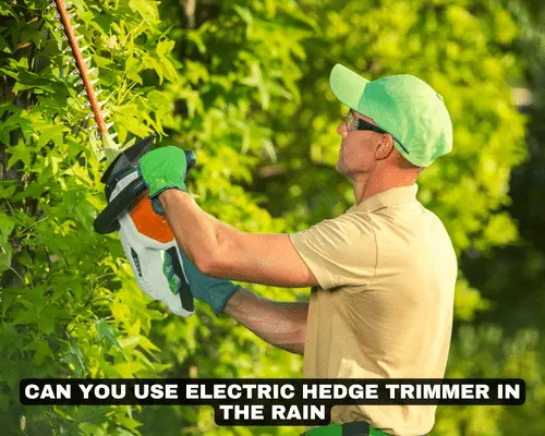 CAN YOU USE ELECTRIC HEDGE TRIMMER IN THE RAIN