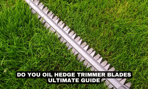 DO YOU OIL HEDGE TRIMMER BLADES ULTIMATE GUIDE