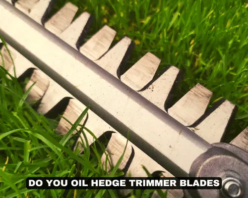 DO YOU OIL HEDGE TRIMMER BLADES