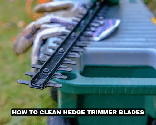 HOW TO CLEAN HEDGE TRIMMER BLADES