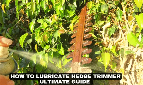 HOW TO LUBRICATE HEDGE TRIMMER ULTIMATE GUIDE