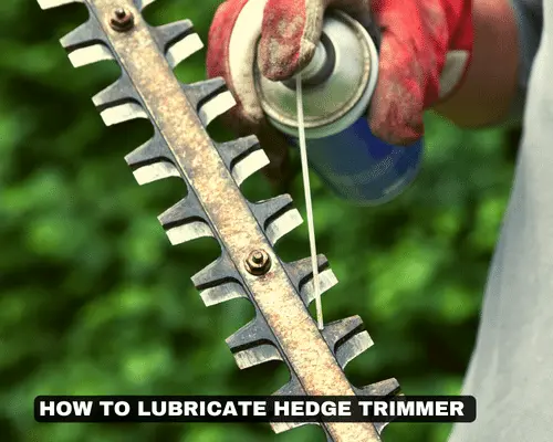 HOW TO LUBRICATE HEDGE TRIMMER