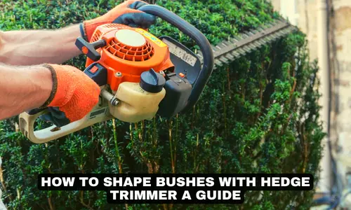 HOW TO SHAPE BUSHES WITH HEDGE TRIMMER A GUIDE