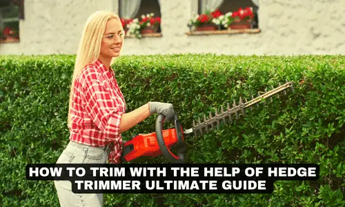 HOW TO TRIM WITH THE HELP OF HEDGE TRIMMER ULTIMATE GUIDE