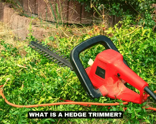 WHAT IS A HEDGE TRIMMER
