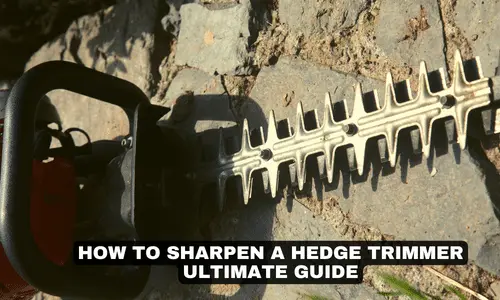 how to sharpen a hedge trimmer ultimate guide