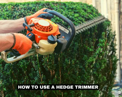 how to use a hedge trimmer