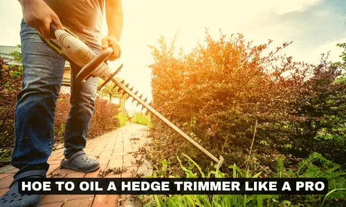 HOE TO OIL A HEDGE TRIMMER LIKE A PRO