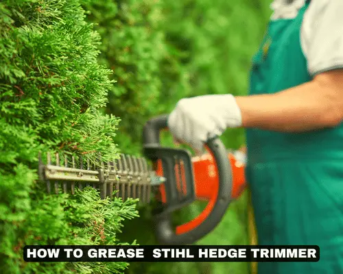 HOW TO GREASE STIHL HEDGE TRIMMER