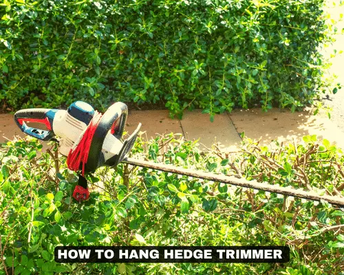 HOW TO HANG HEDGE TRIMMER