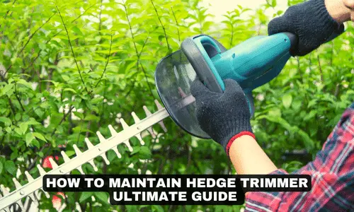 HOW TO MAINTAIN HEDGE TRIMMER ULTIMATE GUIDE