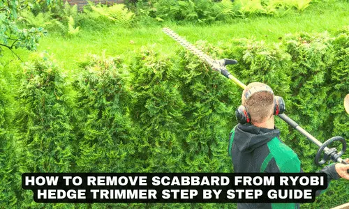 HOW TO REMOVE SCABBARD FROM RYOBI HEDGE TRIMMER STEP BY STEP GUIDE