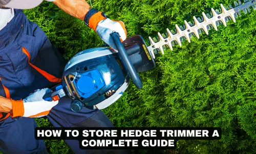 HOW TO STORE HEDGE TRIMMER A COMPLETE GUIDE