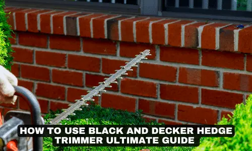 HOW TO USE BLACK AND DECKER HEDGE TRIMMER ULTIMATE GUIDE