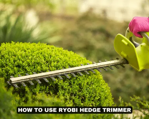 HOW TO USE RYOBI HEDGE TRIMMER
