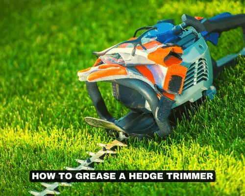 How to Grease a Hedge Trimmer