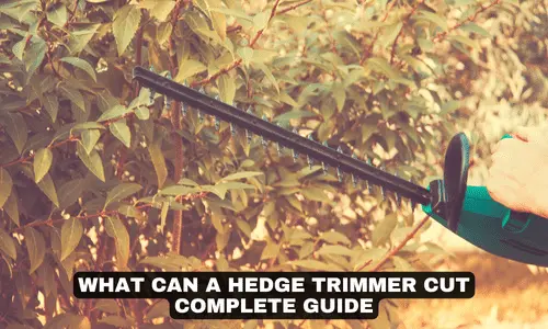 WHAT CAN A HEDGE TRIMMER CUT COMPLETE GUIDE