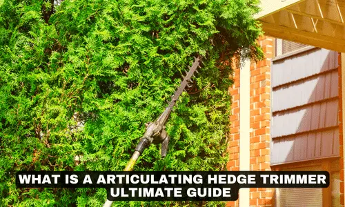 WHAT IS A ARTICULATING HEDGE TRIMMER ULTIMATE GUIDE