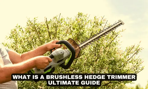 WHAT IS A BRUSHLESS HEDGE TRIMMER ULTIMATE GUIDE