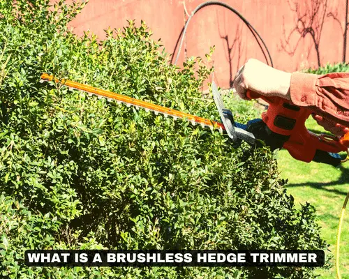 WHAT IS A BRUSHLESS HEDGE TRIMMER