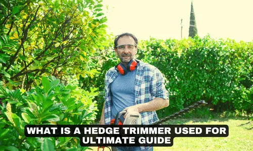 WHAT IS A HEDGE TRIMMER USED FOR ULTIMATE GUIDE