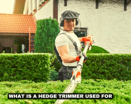 WHAT IS A HEDGE TRIMMER USED FOR