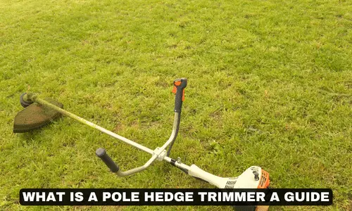 WHAT IS A POLE HEDGE TRIMMER A GUIDE