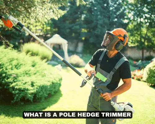 WHAT IS A POLE HEDGE TRIMMER