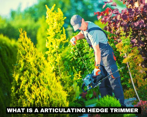 WHAT IS AN ARTICULATING HEDGE TRIMMER