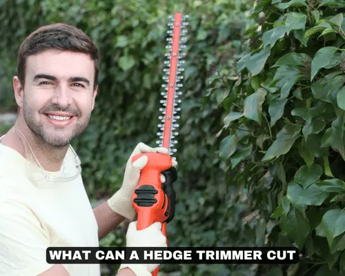 What Can a Hedge Trimmer Cut