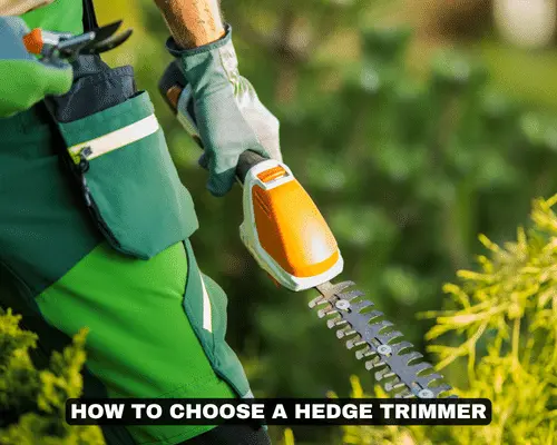 how to choose a hedge trimmer