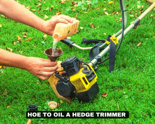 how to oil a hedge trimmer