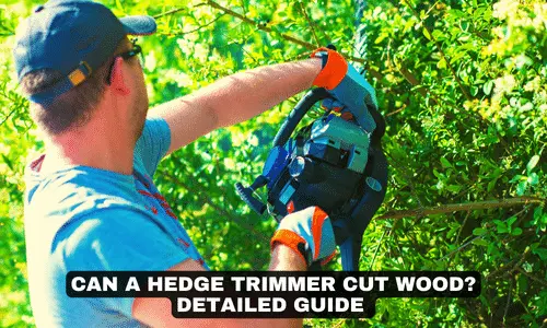 CAN A HEDGE TRIMMER CUT WOOD DETAILED GUIDE