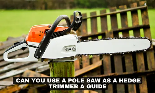 CAN YOU USE A POLE SAW AS A HEDGE TRIMMER A GUIDE