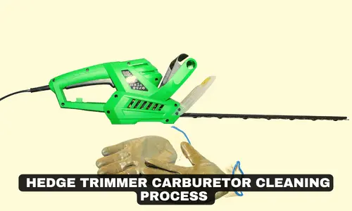 HEDGE TRIMMER CARBURETOR CLEANING PROCESS