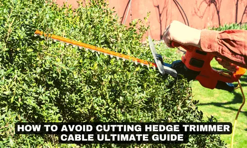 HOW TO AVOID CUTTING HEDGE TRIMMER CABLE ULTIMATE GUIDE