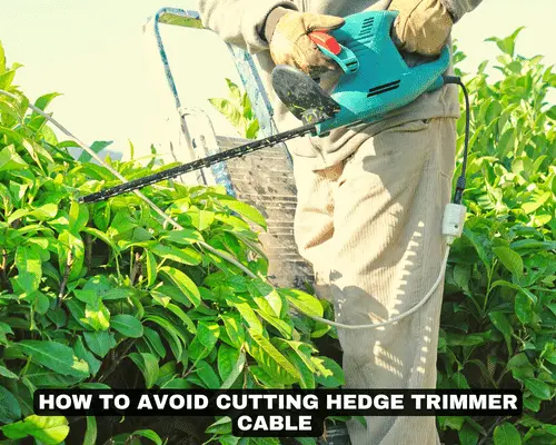 HOW TO AVOID CUTTING HEDGE TRIMMER CABLE
