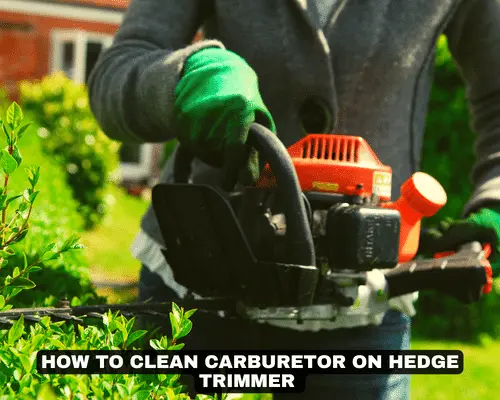 HOW TO CLEAN CARBURETOR ON HEDGE TRIMMER