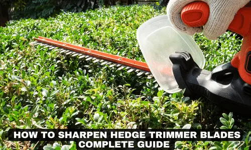 HOW TO SHARPEN HEDGE TRIMMER BLADES COMPLETE GUIDE
